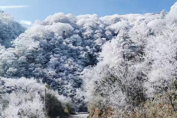 等雪的心情：既怕它不來，又怕它亂來