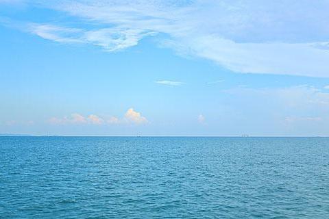 海天相望  思憶母文