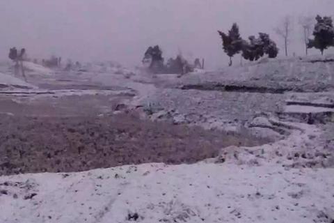 雪