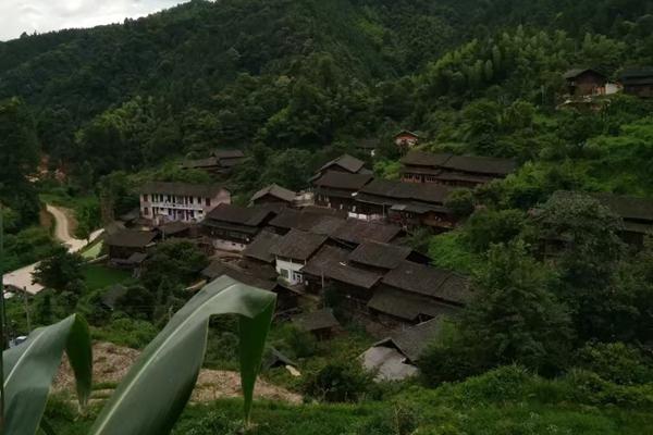 老家那個團(tuán)寨，只有八十多歲的叔叔和嬸嬸還在堅守