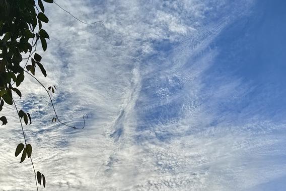 媽媽講的故事