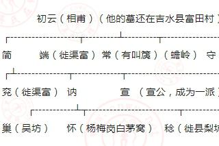 初云世系與相甫世系對比分析報告