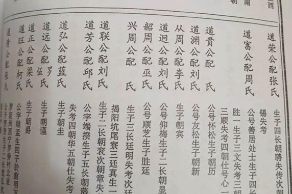 廣東湯田吳二世師瑤公派永平公房尋找失聯(lián)九世道富公之子